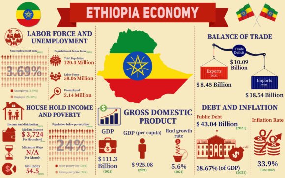 Ethiopia Economy Infographic Charts: A Visual Toolkit for Modern Professionals