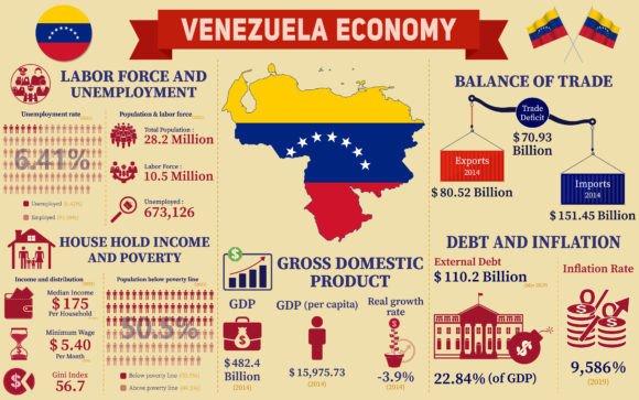 Navigating Economic Data with Venezuela Economy Infographic Charts
